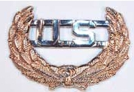 Union Hat Pin replica, silver-tone USA inside a gold-tone laurel wreath